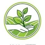 Organic Fertilizer